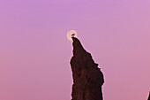 Vogel auf der Spitze einer Felsformation vor dem Vollmond in der Morgendämmerung in der Bandon State Natural Area,Bandon,Oregon,Vereinigte Staaten von Amerika