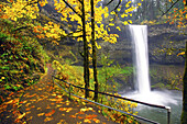 South Falls plätschert in ein Becken mit herbstlich gefärbtem Laub entlang eines Pfades im Silver Falls State Park, Oregon, Vereinigte Staaten von Amerika