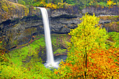 South Falls splashing into a pool with autumn coloured foliage in Silver Falls State Park,Oregon,United States of America