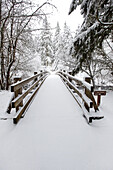 Snowy footbridge in Silver Falls State Park in winter,Oregon,United States of America