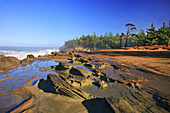 Tide pools rest on a rugged shore along the Oregon coast with mist rising up from the splashing surf and a forest under a bright blue sky,Oregon,United States of America