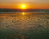 Hellgelb leuchtende Sonne, die über dem Horizont versinkt und sich auf dem nassen Sand bei Ebbe spiegelt
