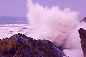 Eine mächtige Welle in der Brandung prallt gegen einen Felsen am Ufer und spritzt in die Luft an der Küste von Oregon im Shore Acres State Park, Oregon, Vereinigte Staaten von Amerika