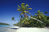 Schiefe Palmen am weißen Sandstrand von One Foot Island mit türkisfarbenem Meerwasser im Südpazifik, Cookinseln