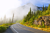 Eine Straße, die in den Nebel führt, der einen Berghang in der Cascade Range bei Sonnenaufgang bedeckt, Mount Rainier National Park, Washington, Vereinigte Staaten von Amerika