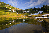 Berghang und alpine Wiese mit Bäumen und Spuren von Schnee, die sich im Tipsoo Lake spiegeln, Mount Rainier National Park, Washington, Vereinigte Staaten von Amerika