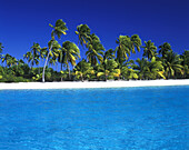 Coastline of a tropical island with white sand,palm trees and bright blue water and sky,One Foot Island,Aitutaki,Cook Islands