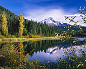Mount Hood spiegelt sich im Trillium Lake im Mount Hood National Forest, Oregon, Vereinigte Staaten von Amerika