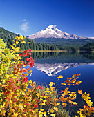 Mount Hood reflected in Trillium Lake in Mount Hood National Forest in autumn,Oregon,United States of America