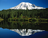 Eine spiegelbildliche Reflexion des schneebedeckten Mount Rainier und eines Waldes im Mount Rainier National Park, Washington, Vereinigte Staaten von Amerika