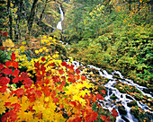 Wahkeena Falls in autumn in Mount Hood National Forest,Oregon,United States of America