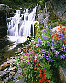 Atemberaubende Schönheit im Pazifischen Nordwesten mit kaskadenartigen Wasserfällen und farbenprächtigen Wildblumen, Washington, Vereinigte Staaten von Amerika