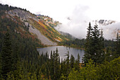 Autumn beauty in Mount Rainier National Park with autumn coloured foliage on a slope leading to a lake and surrounded by forest,Washington,United States of America