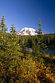 Mount Rainier with autumn colours in the meadow,forest and lake in Mount Rainier National Park,Washington,United States of America