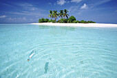 Flaschenpost, eine klare Glasflasche mit einer Papiernotiz schwimmt im klaren türkisfarbenen Wasser des Indischen Ozeans mit einem weißen Sandstrand im Hintergrund, Malediven