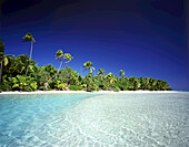Palm trees line the shore of an island with clear turquoise water and bright blue sky,Cook Islands