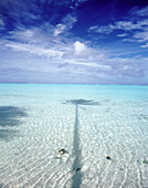 Schatten einer Palme über klarem, türkisfarbenem Meerwasser, Cookinseln