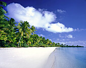 Palmen säumen den weißen Sandstrand einer Insel mit klarem, türkisfarbenem Wasser und strahlend blauem Himmel, Cook-Inseln