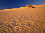 Wellen bedecken die Oberfläche des Sandes vor einem strahlend blauen Himmel auf den Sanddünen an der Küste von Süd-Oregon, Oregon, Vereinigte Staaten von Amerika