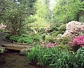 Ein Spaziergang durch die üppigen Gärten im Crystal Springs Rhododendron Garden, Portland, Oregon, Vereinigte Staaten von Amerika