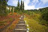 Pfad durch den Mount Rainier National Park im Herbst,Washington,Vereinigte Staaten von Amerika