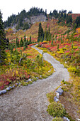 Wanderweg durch den Mount Rainier National Park im Herbst,Washington,Vereinigte Staaten von Amerika