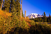 Mount Rainier on a bright,clear day in autumn in Mount Rainier National Park,Washington,United States of America