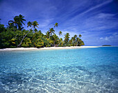 Palmen säumen den weißen Sandstrand einer Insel mit klarem, türkisfarbenem Wasser und strahlend blauem Himmel, Cookinseln