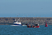 Fischerboote beim Ein- und Auslaufen aus dem Hafen von South Shields, South Shields, Tyne and Wear, England