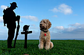 Dog sits at a Remembrance Day monument,South Shields,Tyne and Wear,England