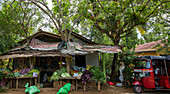 Dorfladen in der Nähe von Galle, Sri Lanka, Wakwella, Distrikt Galle, Sri Lanka