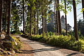 Mit der Burg Kasperk im Hintergrund führt ein geschwungener Wanderweg durch die Bäume des Böhmerwaldes,Sumava,Tschechische Republik