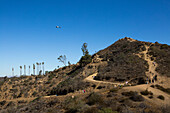 Ein Hubschrauber überfliegt Wanderer in den Hügeln außerhalb von Los Angeles und Hollywood, in der Nähe des Griffith Observatory, Los Angeles, Kalifornien