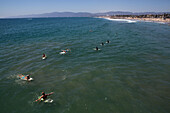 Am Venice Beach paddeln mehrere Surfer hinaus und warten auf die nächste Welle.,Venice Beach,Venice,Los Angeles,California