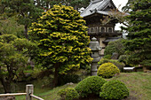 A scenic view of a pagoda,sculpture,and landscaped gardens in San Francisco's Japanese Tea Garden.,Japanese Tea Garden,San Francisco,California