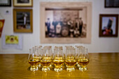 Auf einer Bar in der Tobermory Distillery, Schottland, Tobermory, Isle of Mull, Schottland, reihen sich Whiskeyflaschen aneinander