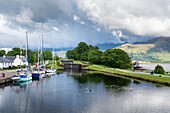 Ducks float in a sea lock along the Caledonian Canal at Corpach,Scotland,Corpach,Scotland