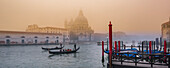 Gondolas and the Santa Maria della Salute church in Venice,Venice,Italy