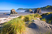 Das Morgenlicht verleiht Cape Sebastian an der Küste von South Oregon, Oregon, Vereinigte Staaten von Amerika, Schönheit