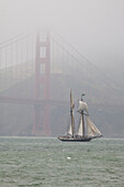 A two masted schooner sails under the Golden Gate Bridge.,San Francisco,California.