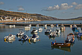 Cobb Harbour on the Jurassic Coast,Lyme Regis,Dorset,Great Britain,Lyme Regis,Dorset,England