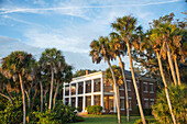 Altes Haus umgeben von Palmen, Osprey, Florida, Vereinigte Staaten von Amerika