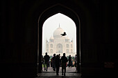 Taj Mahal in Agra, Uttar Pradesh, Indien, Agra, Uttar Pradesh, Indien