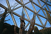 A pair of birds of prey in a domed enclosure called the Desert Dome at the Henry Doorly Zoo in Omaha,Nebraska,USA,Omaha,Nebraska,United States of America