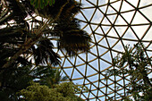 Blick ins Innere des Bloedel Conservatory im Queen Elizabeth Park, Vancouver, Vancouver, British Columbia, Kanada
