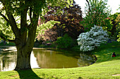 A scenic view of a landscaped pond.,Mount Auburn Cemetery,Cambridge,Massachusetts.