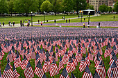 Nationalflaggen der Vereinigten Staaten von Amerika am Memorial Day zu Ehren der gefallenen Soldaten, Boston Common, Boston, Massachusetts.