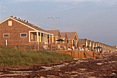 A row of rental cottages on a seaweed strewn beach.,Truro,Cape Cod,Massachusetts.