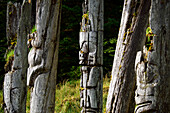 Totempfähle bei SGang Gwaay Llanagaay, Ninstints auf Englisch, ein verlassenes Haida-Dorf auf Anthony Island, Anthony Island, Haida Gwaii, British Columbia, Kanada