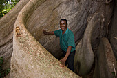 Male tour guide next to the buttress roots of a ceiba tree,Bluefields Bay,Jamaica